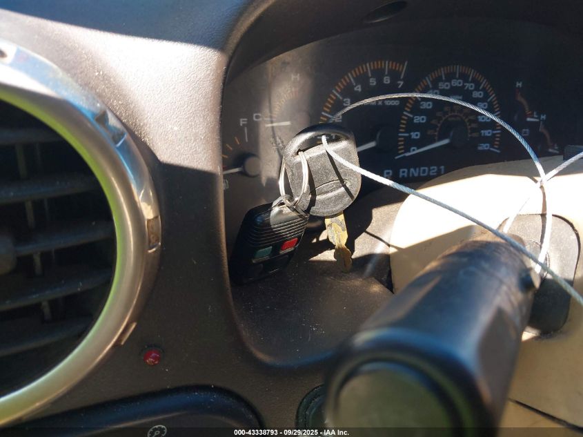 2003 Ford Expedition Eddie Bauer VIN: 1FMEU17W93LB00395 Lot: 43338793