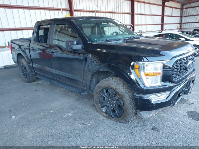 FORD F-150 XL