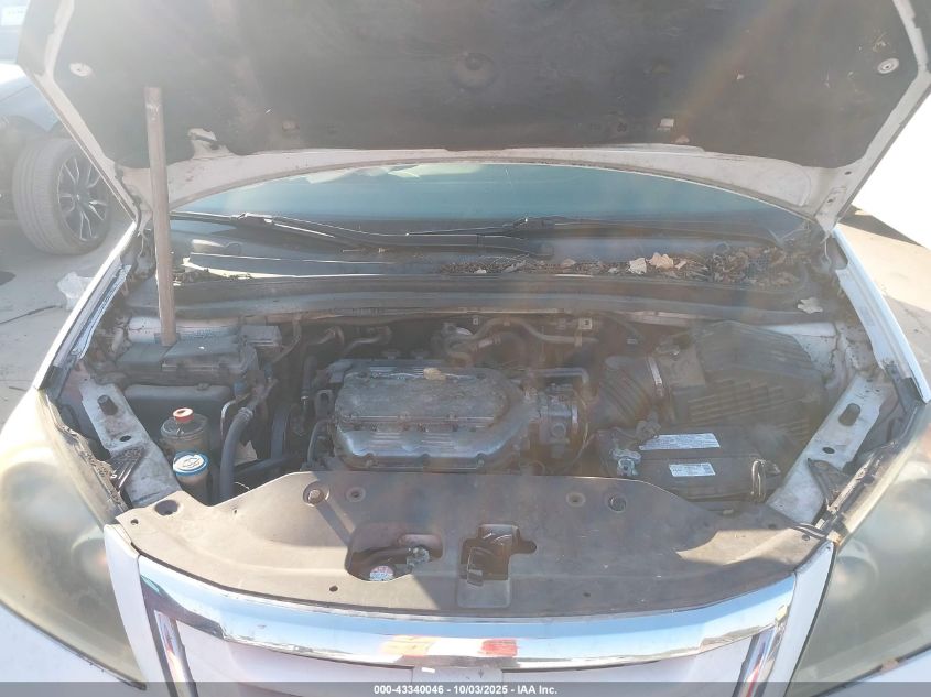 2008 Honda Odyssey Ex-L VIN: 5FNRL38668B402725 Lot: 43340046