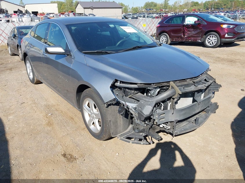 2024 CHEVROLET MALIBU FWD 1LT - 1G1ZD5ST1RF116097