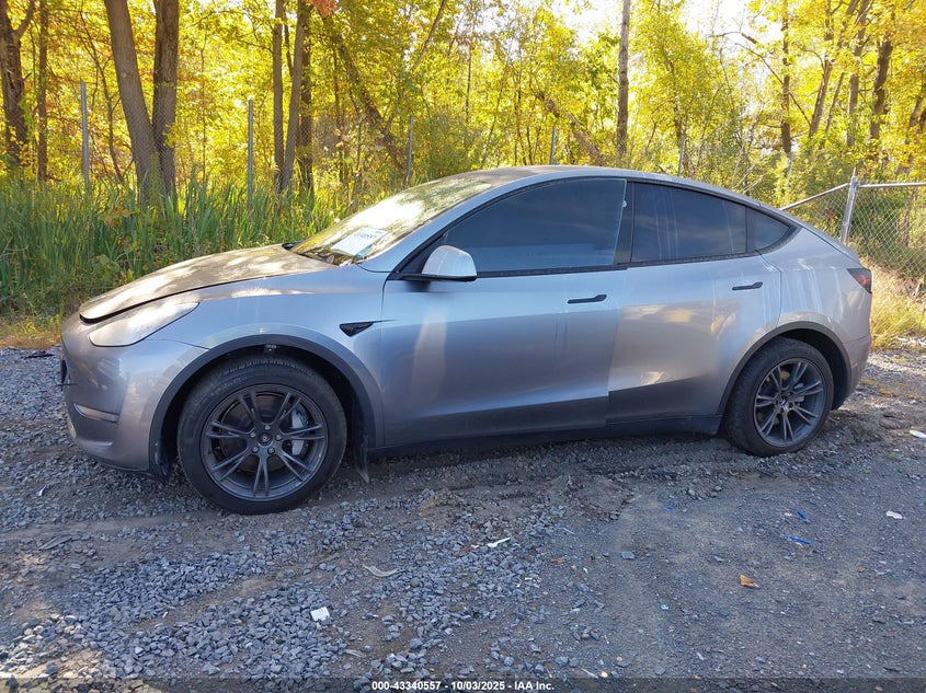 2025 Tesla Model Y Long Range Dual Motor All-Wheel Drive VIN: 7SAYGAEE1SF221655 Lot: 43340557