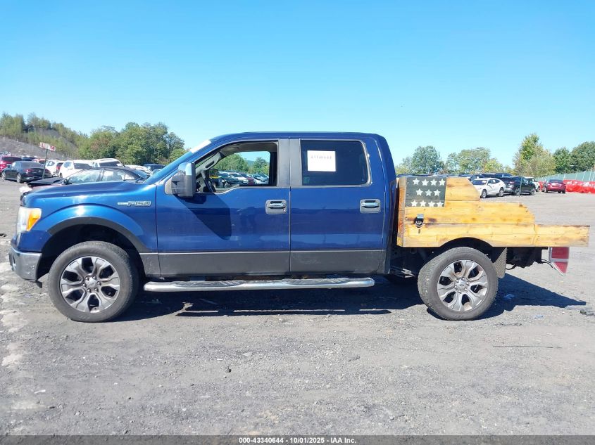 2009 Ford F-150 Fx4/King Ranch/Lariat/Platinum/Xl/Xlt VIN: 1FTPW14V29FA83238 Lot: 43340644