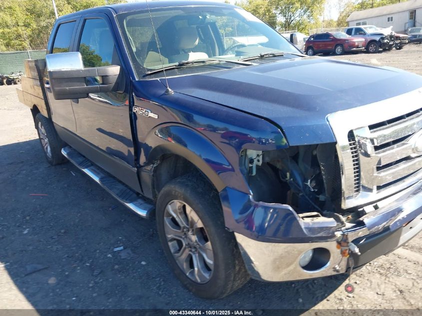 2009 Ford F-150 Fx4/King Ranch/Lariat/Platinum/Xl/Xlt VIN: 1FTPW14V29FA83238 Lot: 43340644