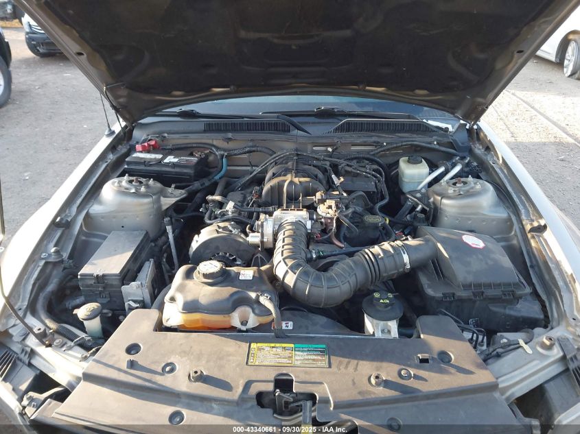 2005 Ford Mustang V6 Deluxe/V6 Premium VIN: 1ZVFT80N855119319 Lot: 43340661