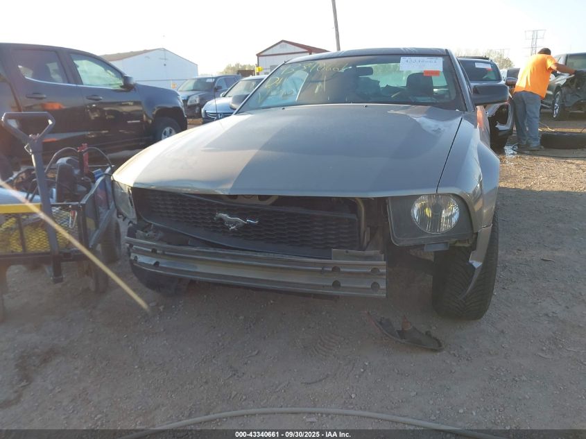 2005 Ford Mustang V6 Deluxe/V6 Premium VIN: 1ZVFT80N855119319 Lot: 43340661