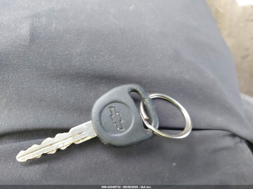 2003 Chevrolet Silverado 1500 Ls VIN: 2GCEK19T131104394 Lot: 43340732