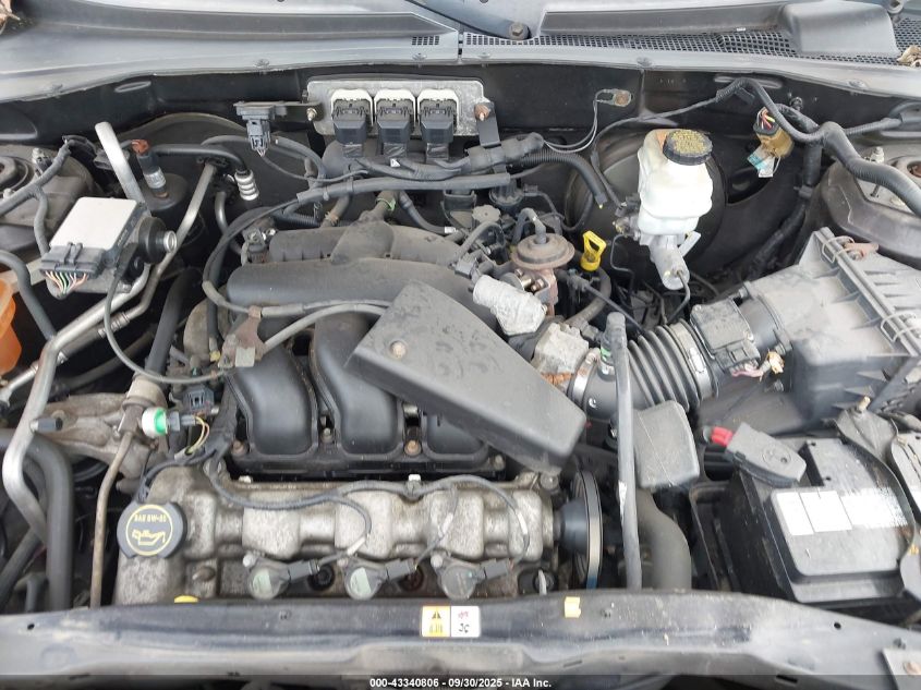 2005 Ford Escape Xlt VIN: 1FMYU93155KD39053 Lot: 43340806