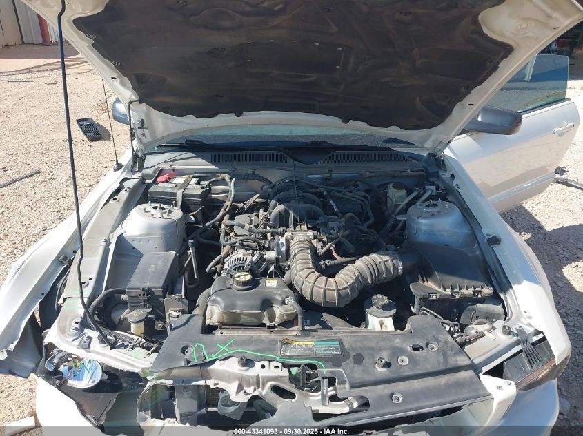 2009 Ford Mustang V6/V6 Premium VIN: 1ZVHT84N195100247 Lot: 43341093