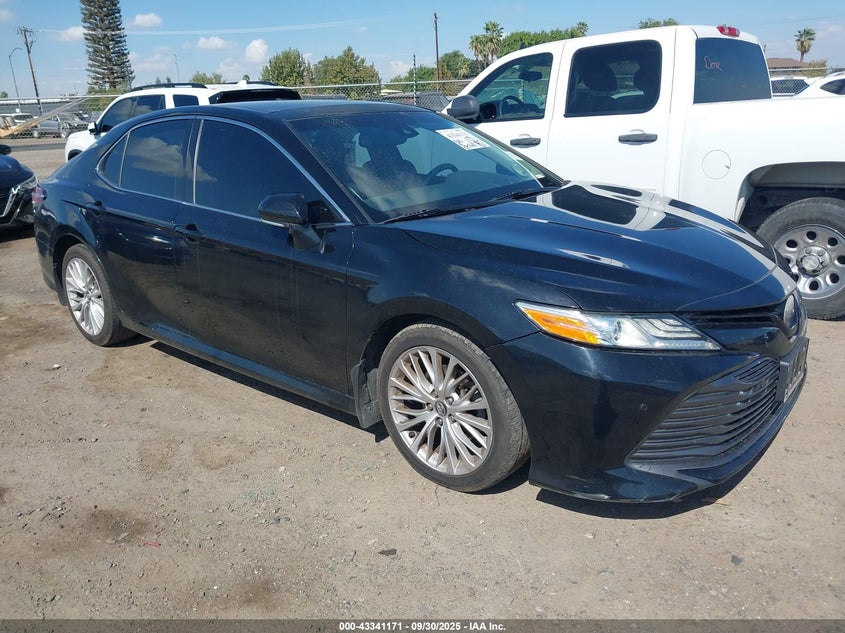 TOYOTA CAMRY XLE V6