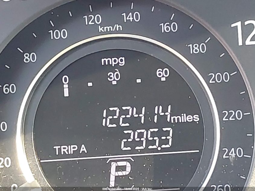 2013 Honda Accord Lx VIN: 1HGCR2F38DA095540 Lot: 43341461