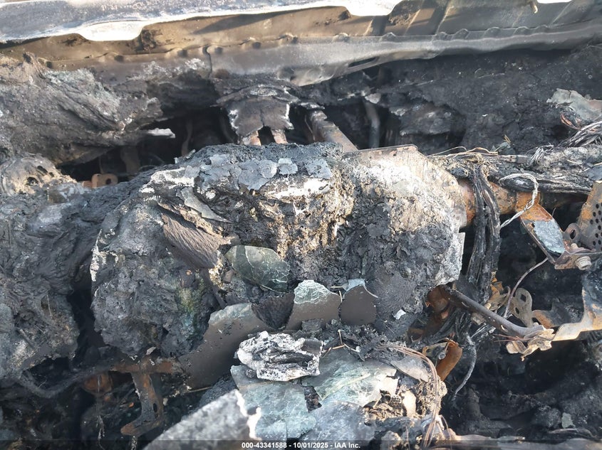 2021 TOYOTA CAMRY SE - 4T1G11AK5MU428643