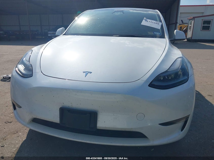 2023 Tesla Model Y VIN: 7SAYGDEE5PA168223 Lot: 43341688