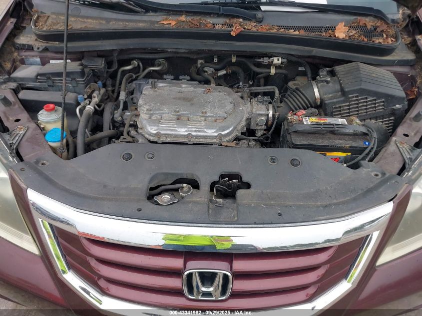 2008 Honda Odyssey Ex-L VIN: 5FNRL38638B405307 Lot: 43341982