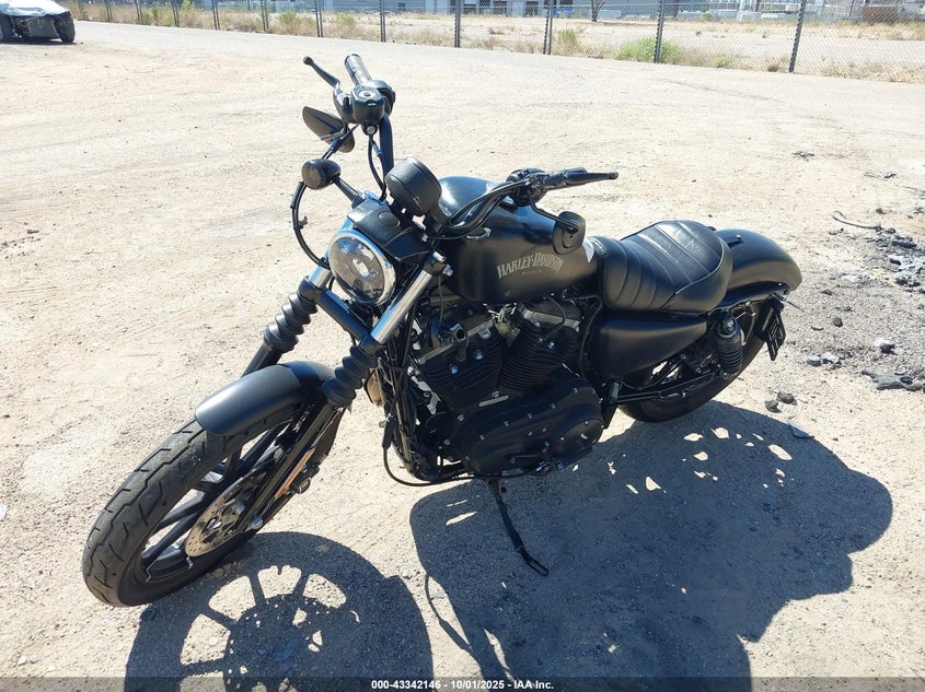 1HD4LE217LB422365 2020 HARLEY-DAVIDSON IRON photo no. 2