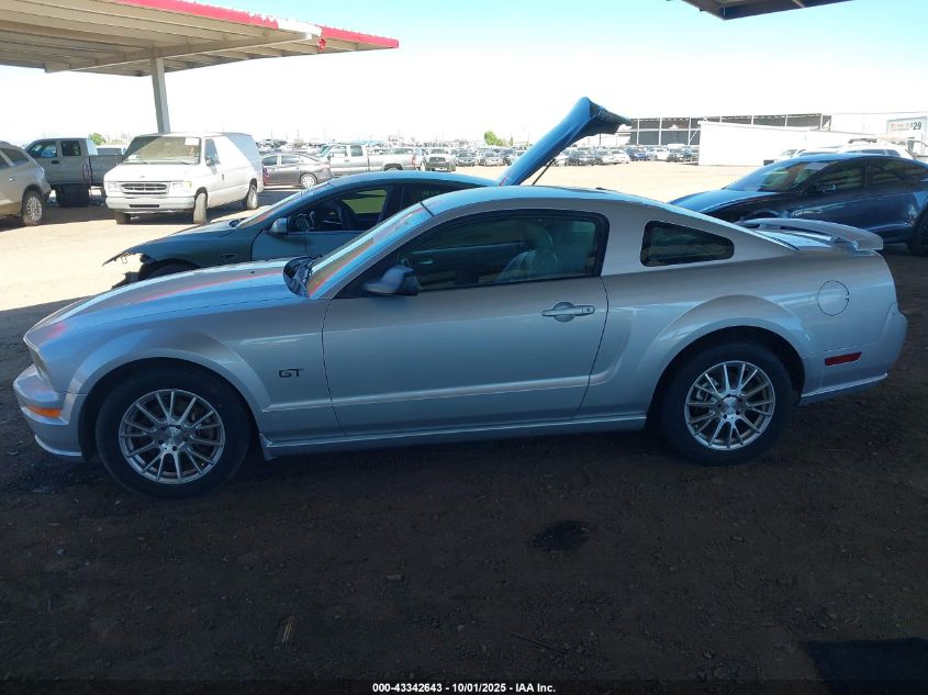 2006 Ford Mustang Gt VIN: 1ZVFT82H965152192 Lot: 43342643