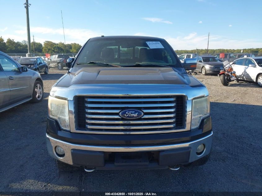 2010 Ford F-150 Fx4/Harley-Davidson/King Ranch/Lariat/Platinum/Xl/Xlt VIN: 1FTFW1EV1AFC99354 Lot: 43342858