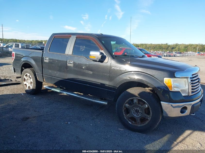 2010 Ford F-150 Fx4/Harley-Davidson/King Ranch/Lariat/Platinum/Xl/Xlt VIN: 1FTFW1EV1AFC99354 Lot: 43342858