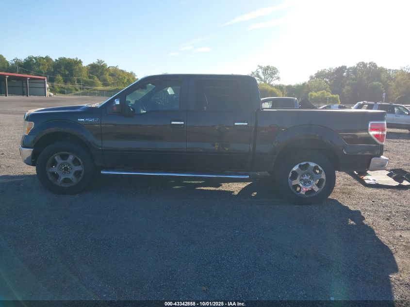 2010 Ford F-150 Fx4/Harley-Davidson/King Ranch/Lariat/Platinum/Xl/Xlt VIN: 1FTFW1EV1AFC99354 Lot: 43342858