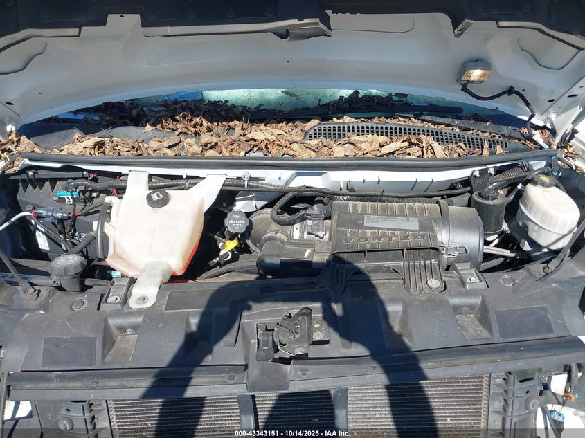 2020 Chevrolet Express Passenger Rwd 3500 Extended Wheelbase Lt VIN: 1GAZGPFG6L1176137 Lot: 43343151