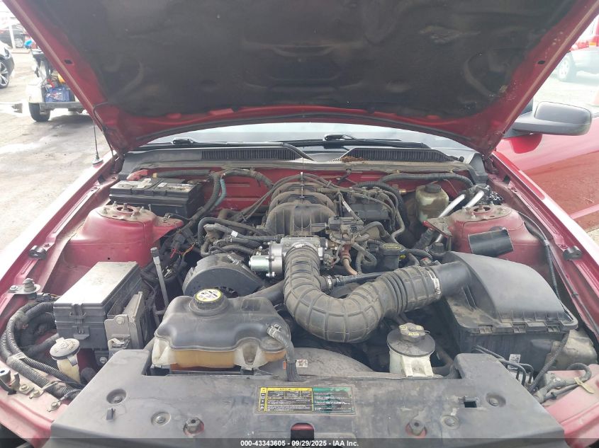 2005 Ford Mustang V6 Deluxe/V6 Premium VIN: 1ZVFT80N955158307 Lot: 43343605