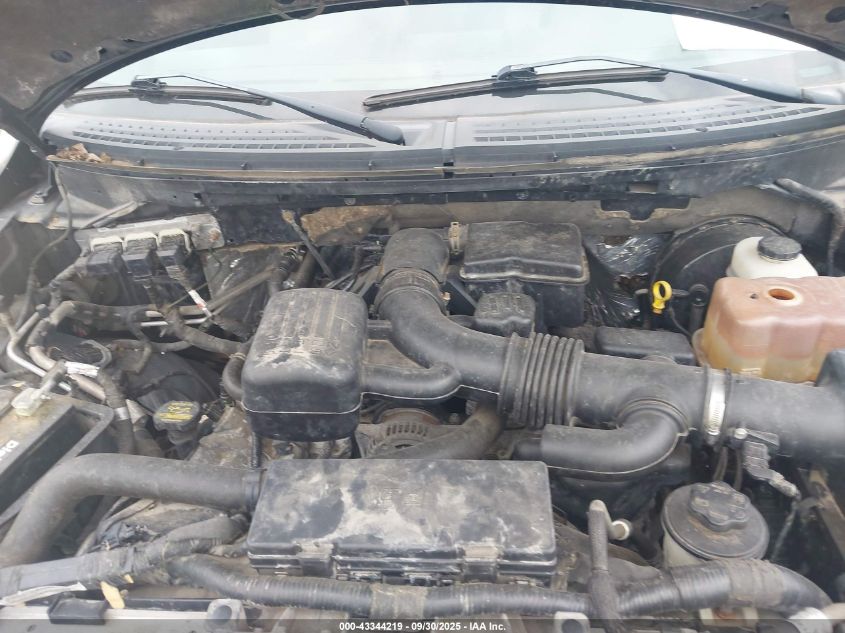 2009 Ford F-150 Fx4/Xlt VIN: 1FTPX04V49KC35664 Lot: 43344219