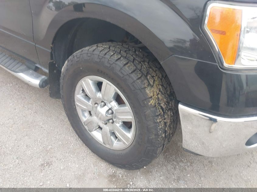 2009 Ford F-150 Fx4/Xlt VIN: 1FTPX04V49KC35664 Lot: 43344219