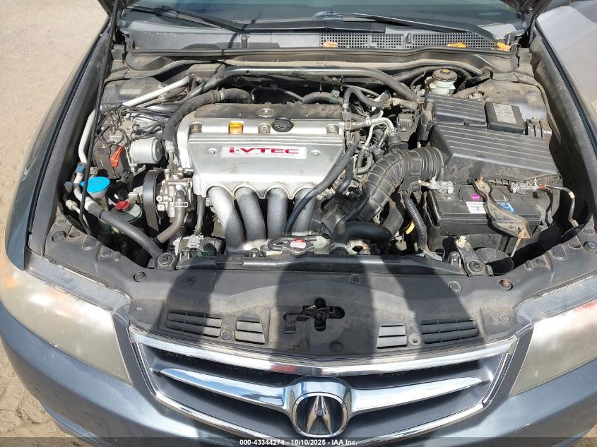 2008 Acura Tsx VIN: JH4CL968X8C013174 Lot: 43344274