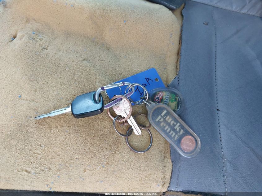 1999 Ford Explorer Eddie Bauer/Limited Edition/Xlt VIN: 1FMZU32P8XZC14114 Lot: 43344588