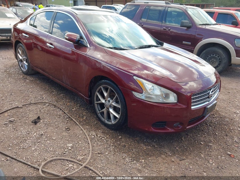 NISSAN MAXIMA 3.5 SV