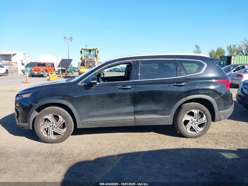 2023 Hyundai Santa Fe Sel VIN: 5NMS2DAJ0PH612162 Lot: 43345308