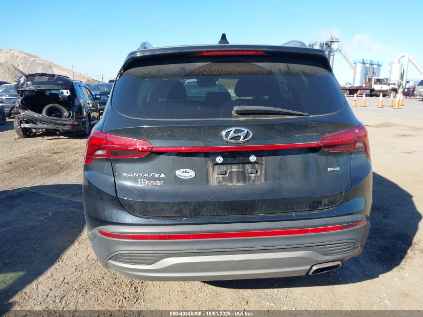 2023 Hyundai Santa Fe Sel VIN: 5NMS2DAJ0PH612162 Lot: 43345308