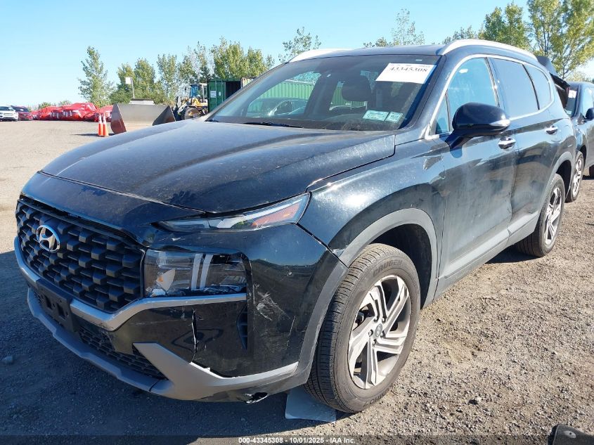 2023 Hyundai Santa Fe Sel VIN: 5NMS2DAJ0PH612162 Lot: 43345308