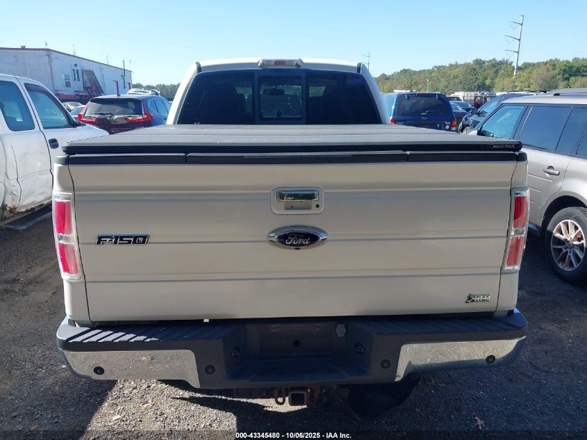 2010 Ford F-150 Fx4/Harley-Davidson/King Ranch/Lariat/Platinum/Xl/Xlt VIN: 1FTFW1EV3AFA60212 Lot: 43345480