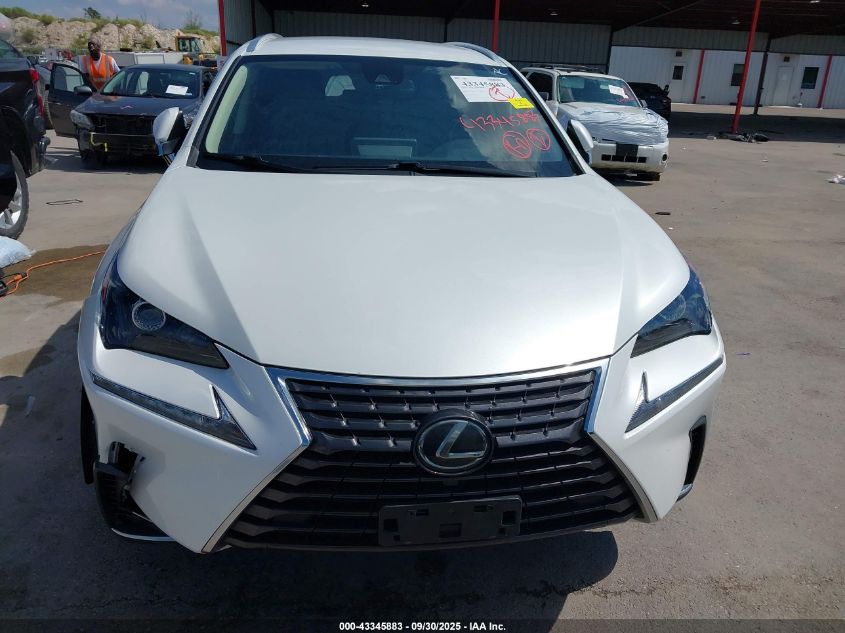 2020 Lexus Nx 300 VIN: JTJAARBZ5L2159054 Lot: 43345883