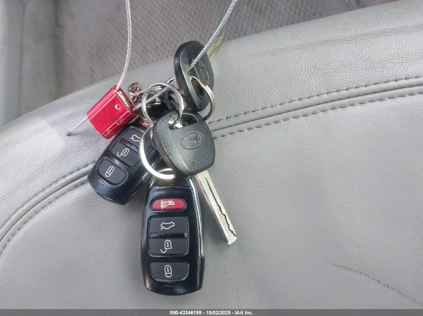 2006 Hyundai Azera Limited/Se VIN: KMHFC46F96A053850 Lot: 43346199