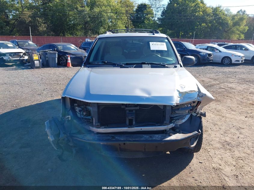 2006 Chevrolet Trailblazer Ls VIN: 1GNDS13SX62339318 Lot: 43347189