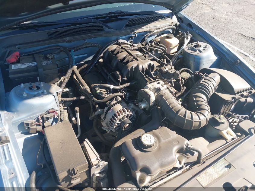 2007 Ford Mustang V6 Deluxe/V6 Premium VIN: 1ZVFT80N075289029 Lot: 43347766