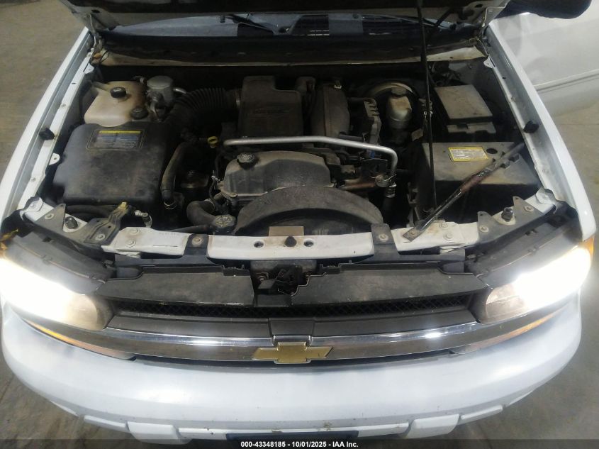 2006 Chevrolet Trailblazer Ls VIN: 1GNDT13SX62301553 Lot: 43348185