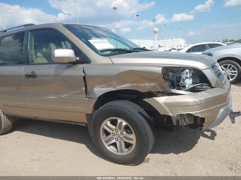 2005 Honda Pilot Ex VIN: 5FNYF18465B010443 Lot: 43349044