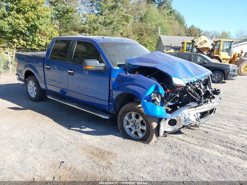 FORD F-150 FX4/HARLEY-DAVIDSON/KING RANCH/LARIAT/PLATINUM/XL/XLT