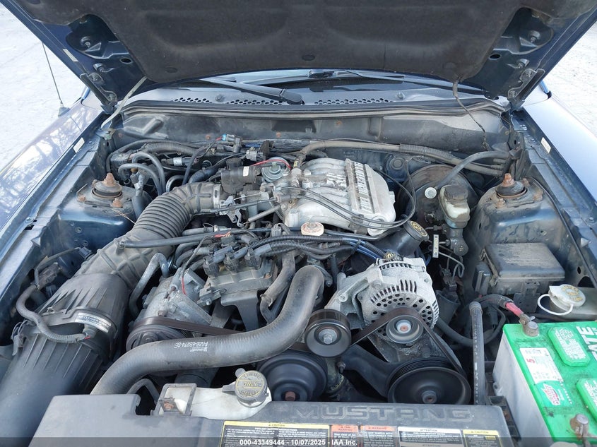 1996 Ford Mustang VIN: 1FALP4442TF140541 Lot: 43349444
