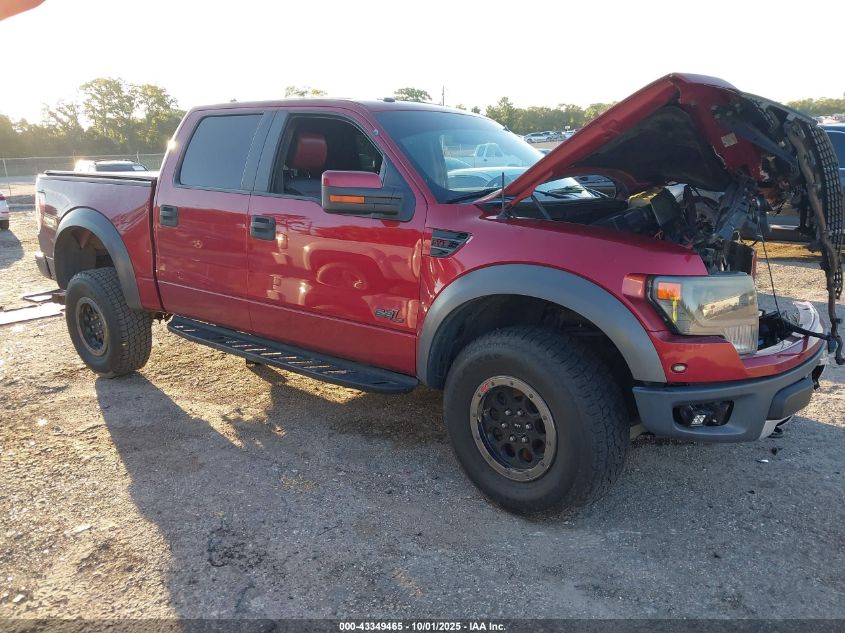 FORD F-150 SVT RAPTOR