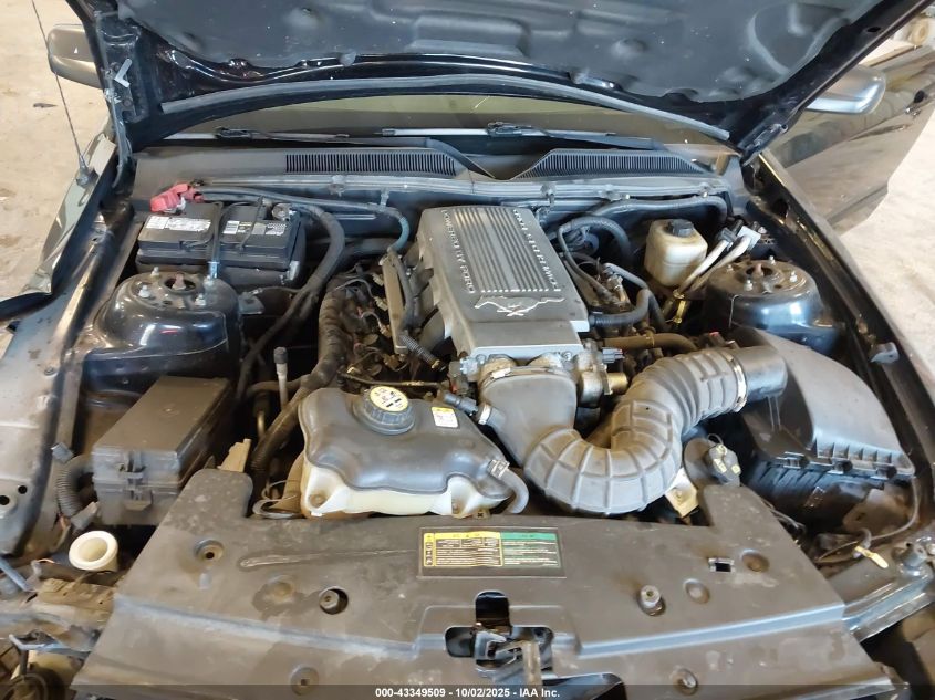 2007 Ford Mustang Gt Deluxe/Gt Premium VIN: 1ZVHT85HX75358269 Lot: 43349509