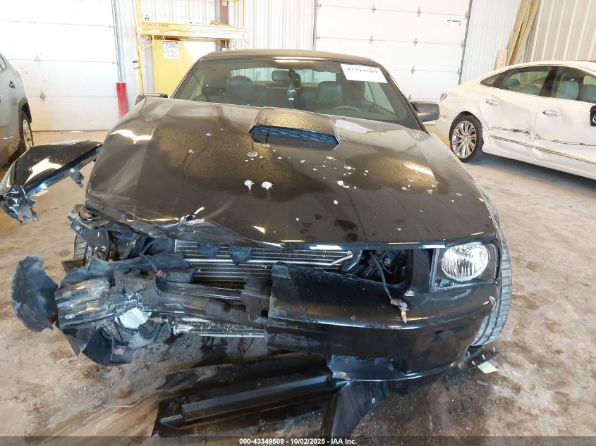 2007 Ford Mustang Gt Deluxe/Gt Premium VIN: 1ZVHT85HX75358269 Lot: 43349509