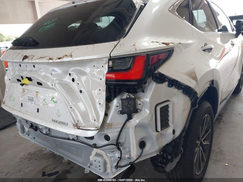 2025 Lexus Nx 250 VIN: JTJADCAZ9S2022784 Lot: 43349703