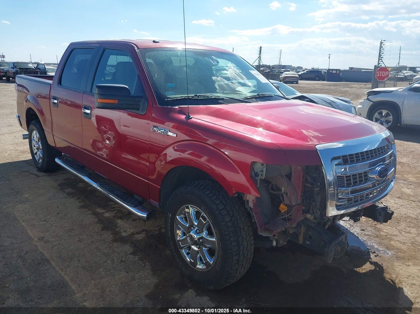 2014 FORD F-150 XLT - 1FTFW1CF1EKF90624