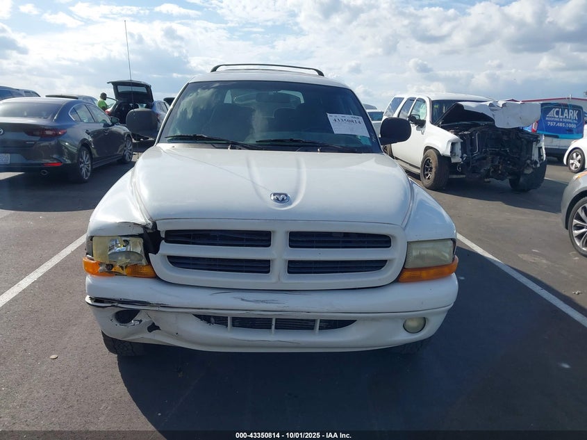 1999 Dodge Durango VIN: 1B4HS28Y1XF590930 Lot: 43350814
