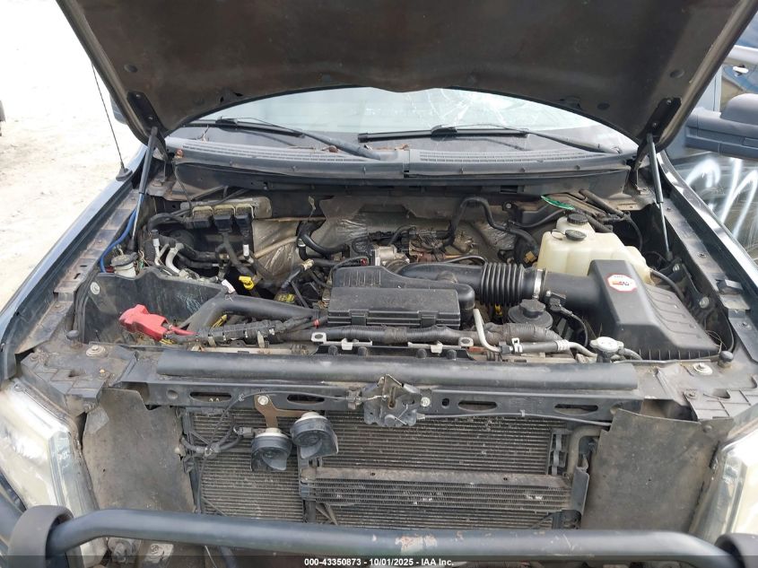 2010 Ford F-150 Stx/Xl VIN: 1FTEX1EW7AFA75331 Lot: 43350873