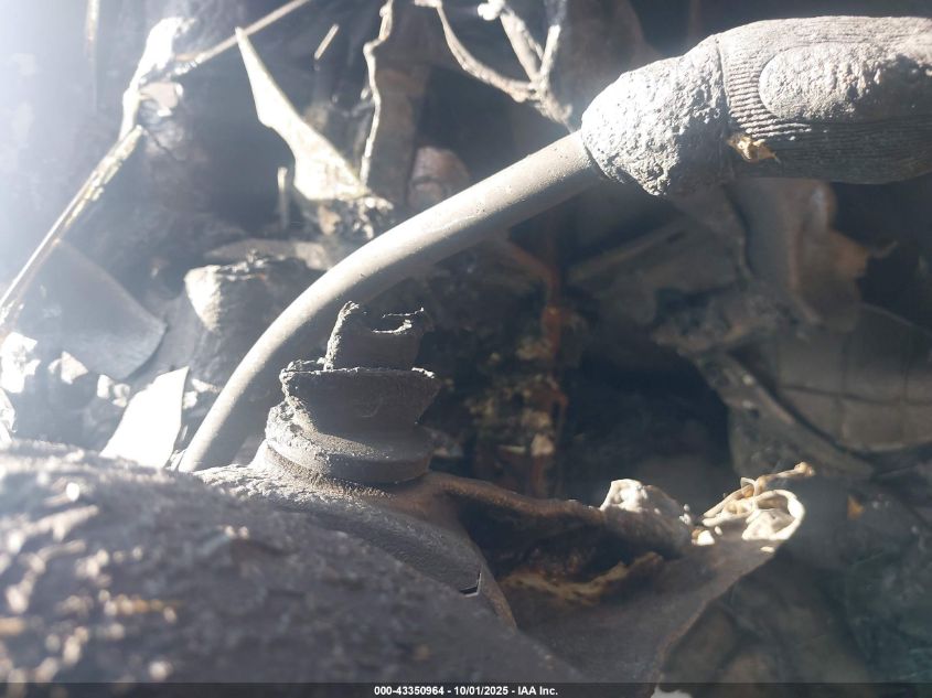 2001 Ford F-250 Lariat/Xl/Xlt VIN: 1FTNW20FX1ED10648 Lot: 43350964