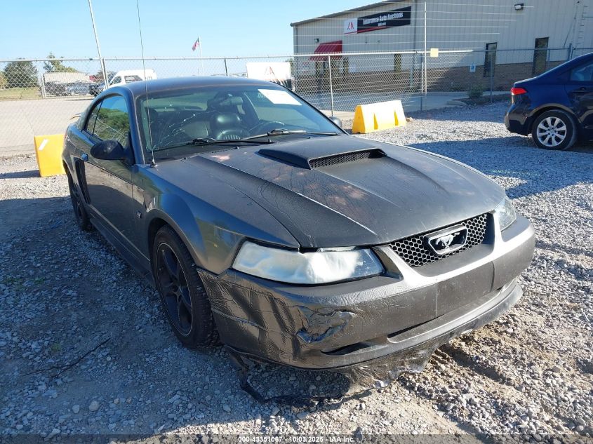 2003 Ford Mustang Gt VIN: 1FAFP42X93F328242 Lot: 43351067